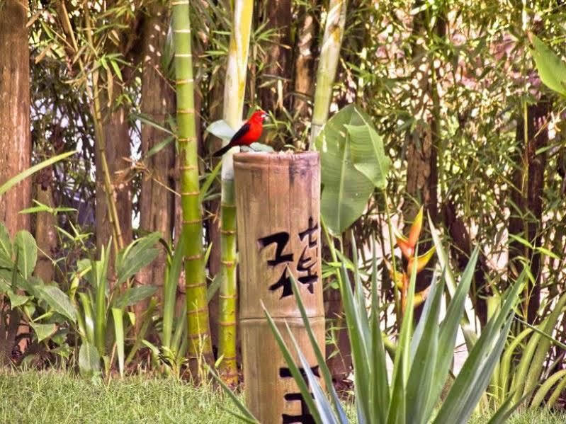 Pousada Bambu Itacare Bagian luar foto