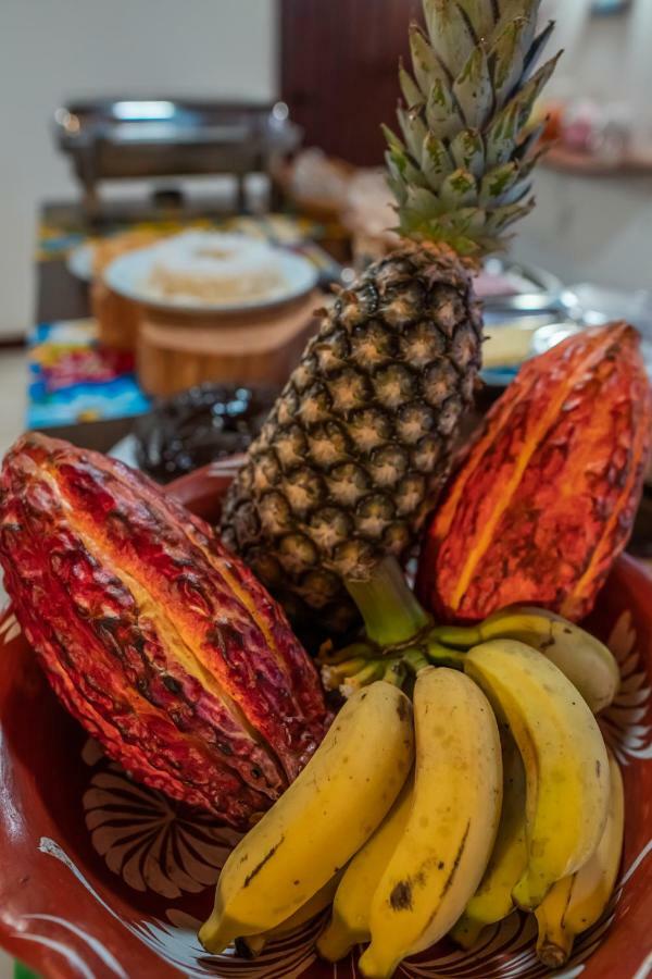 Pousada Bambu Itacare Bagian luar foto